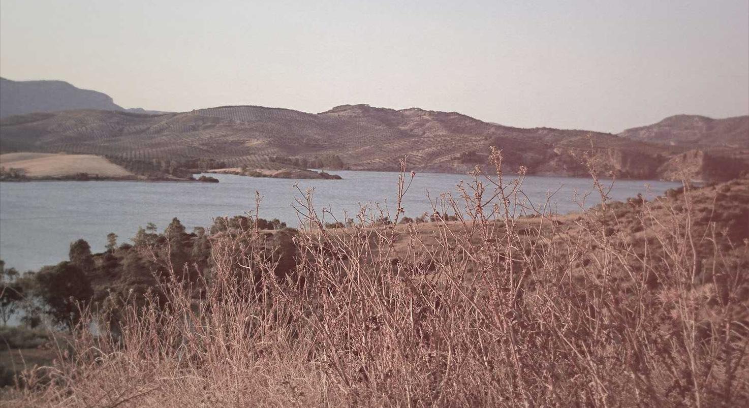 衡天云实名账号：招游戏代理平台