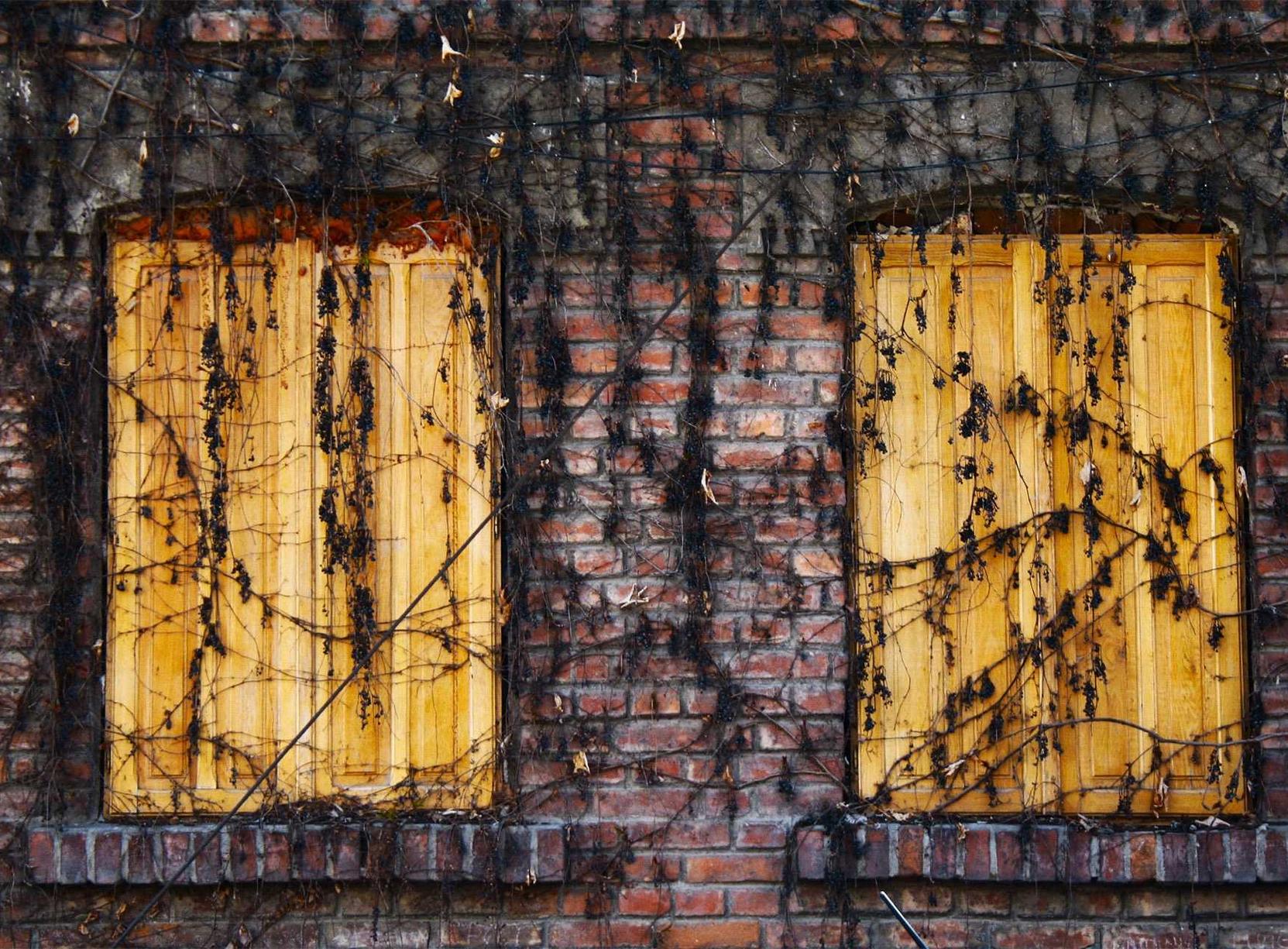 免费DDOS攻击平台|小孩子怎样注册钉钉账号