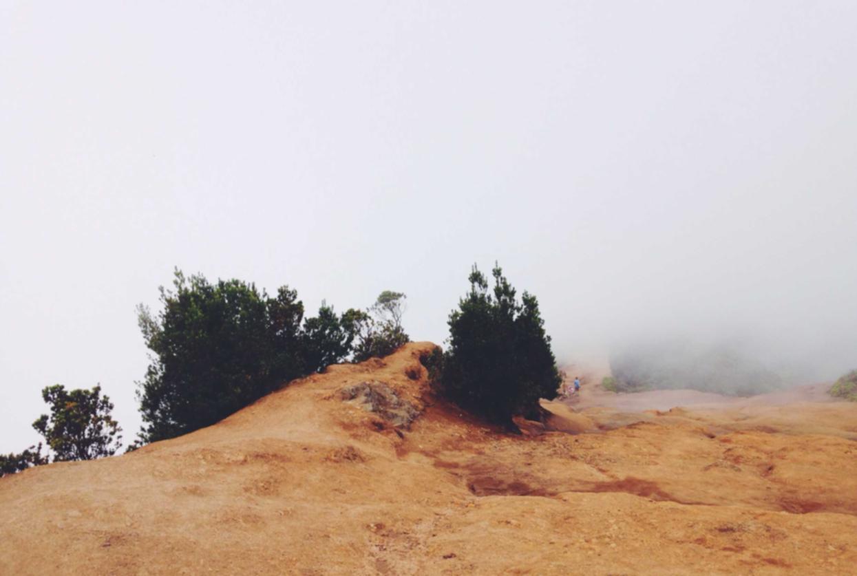 玄武万博app怎么详情下载教程