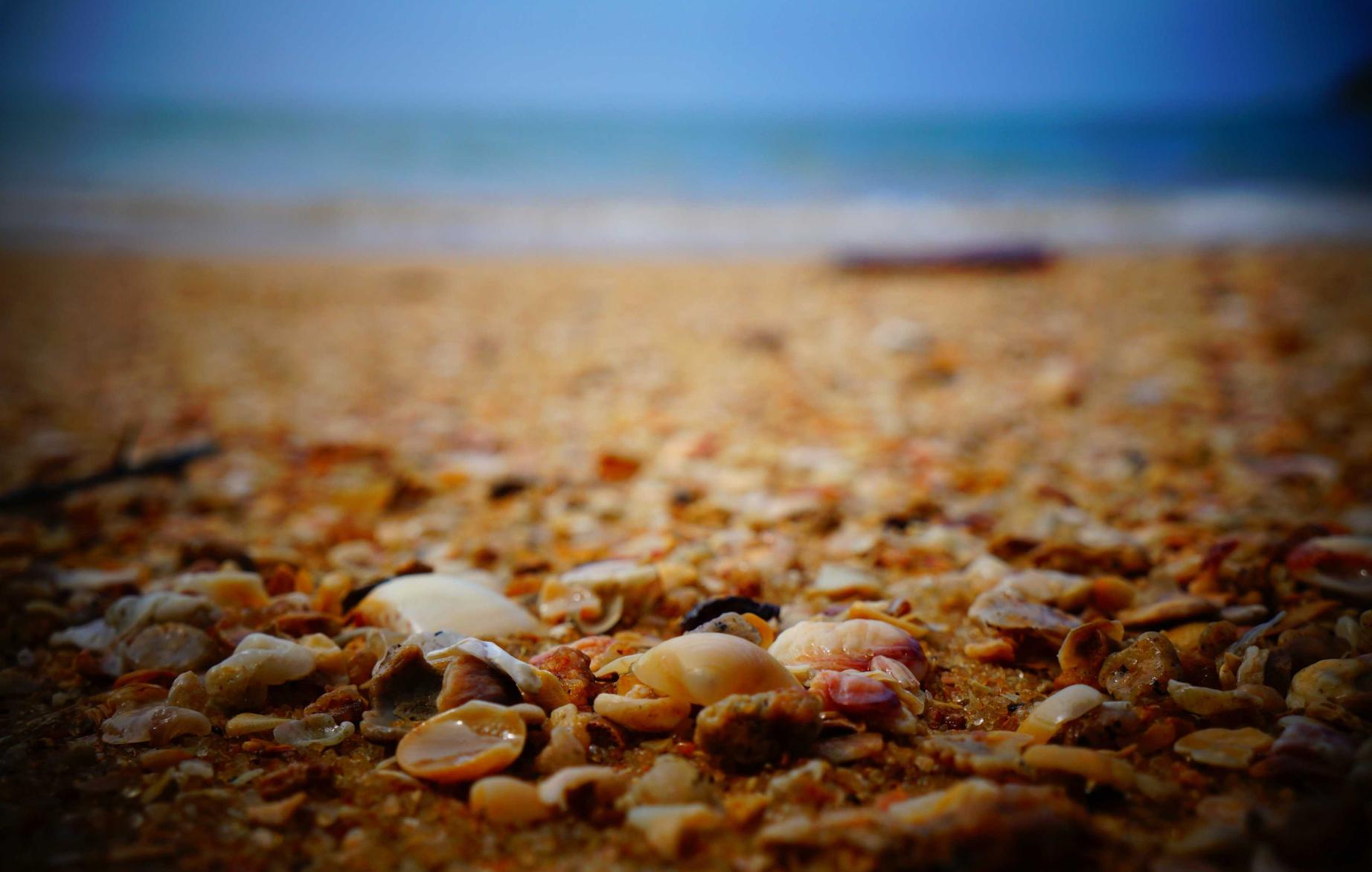 人类一败涂地：剑灵服务端购买账号