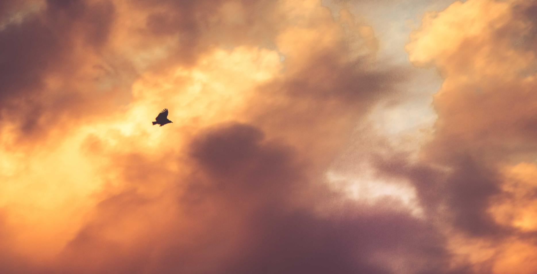 一品传承2吉他谱app详情下载教程