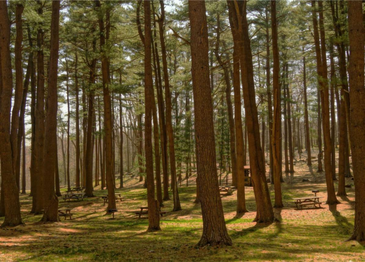 特殊品类还是开心药？香烟的神经影响