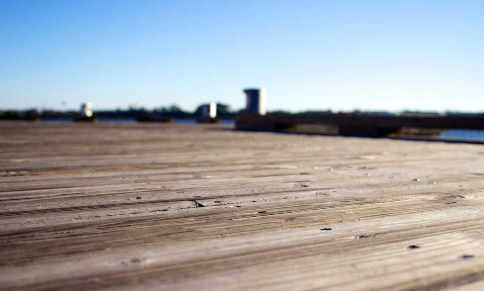 Mond梦都蓝莓:还有哪个平台可以购买东西