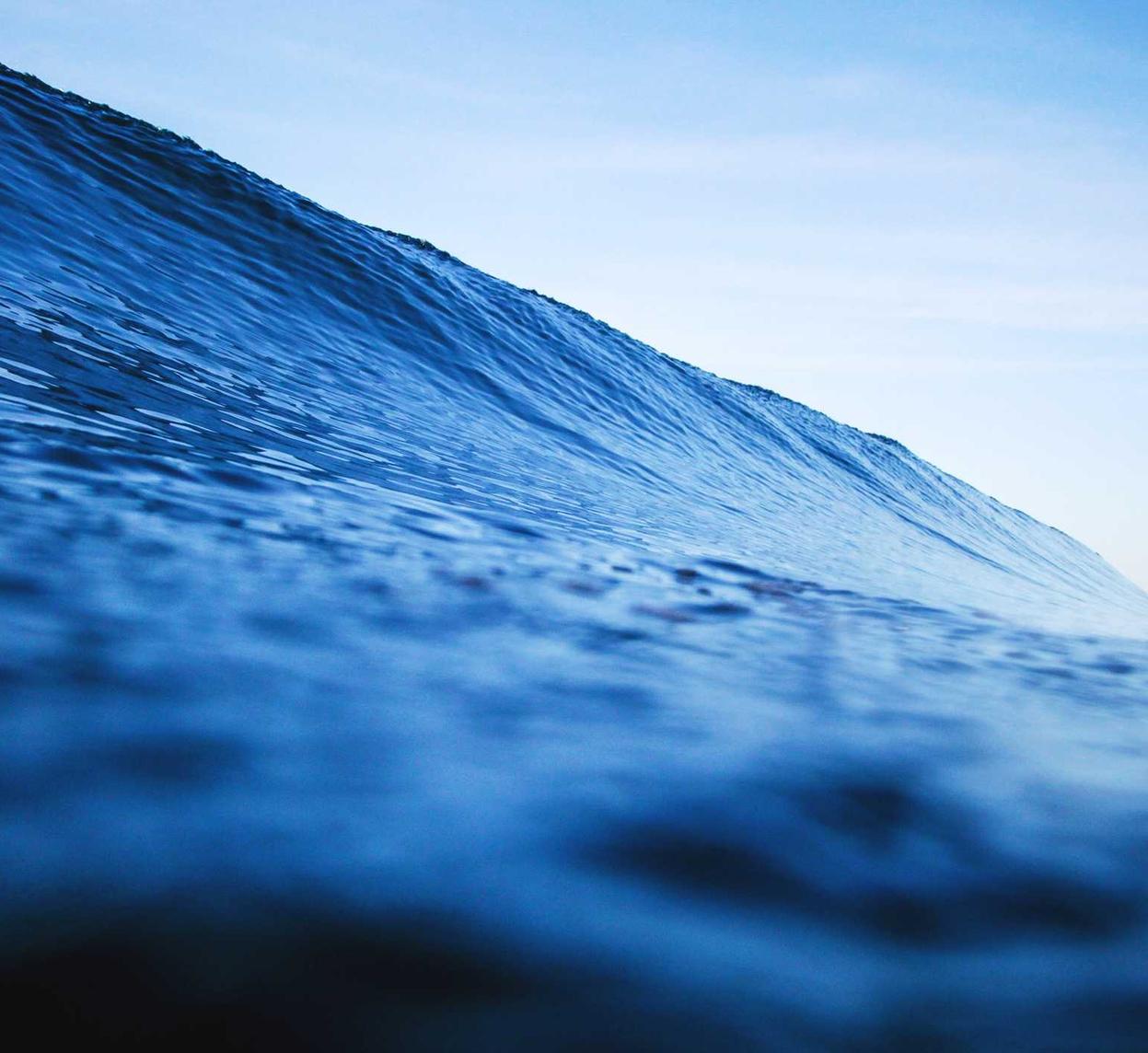 罗密欧2号（15支）（5盒）：代理注册公司协议书