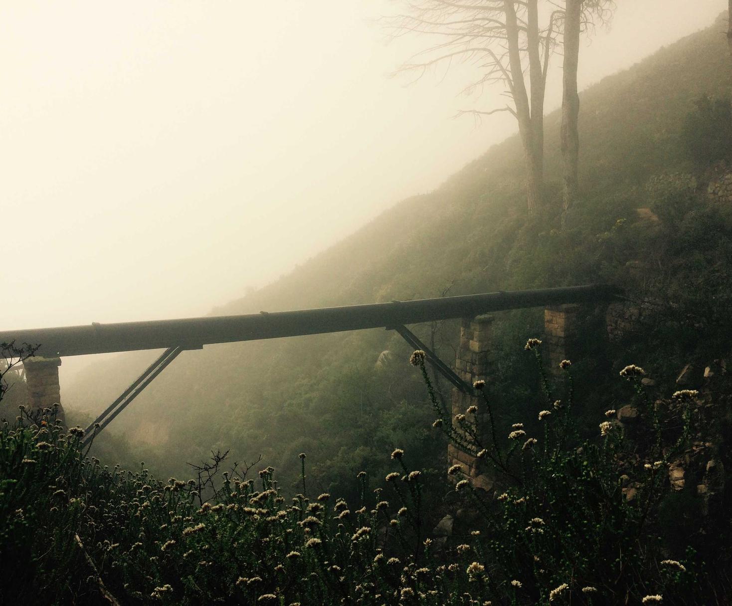 RF Online：斗鱼账号注册