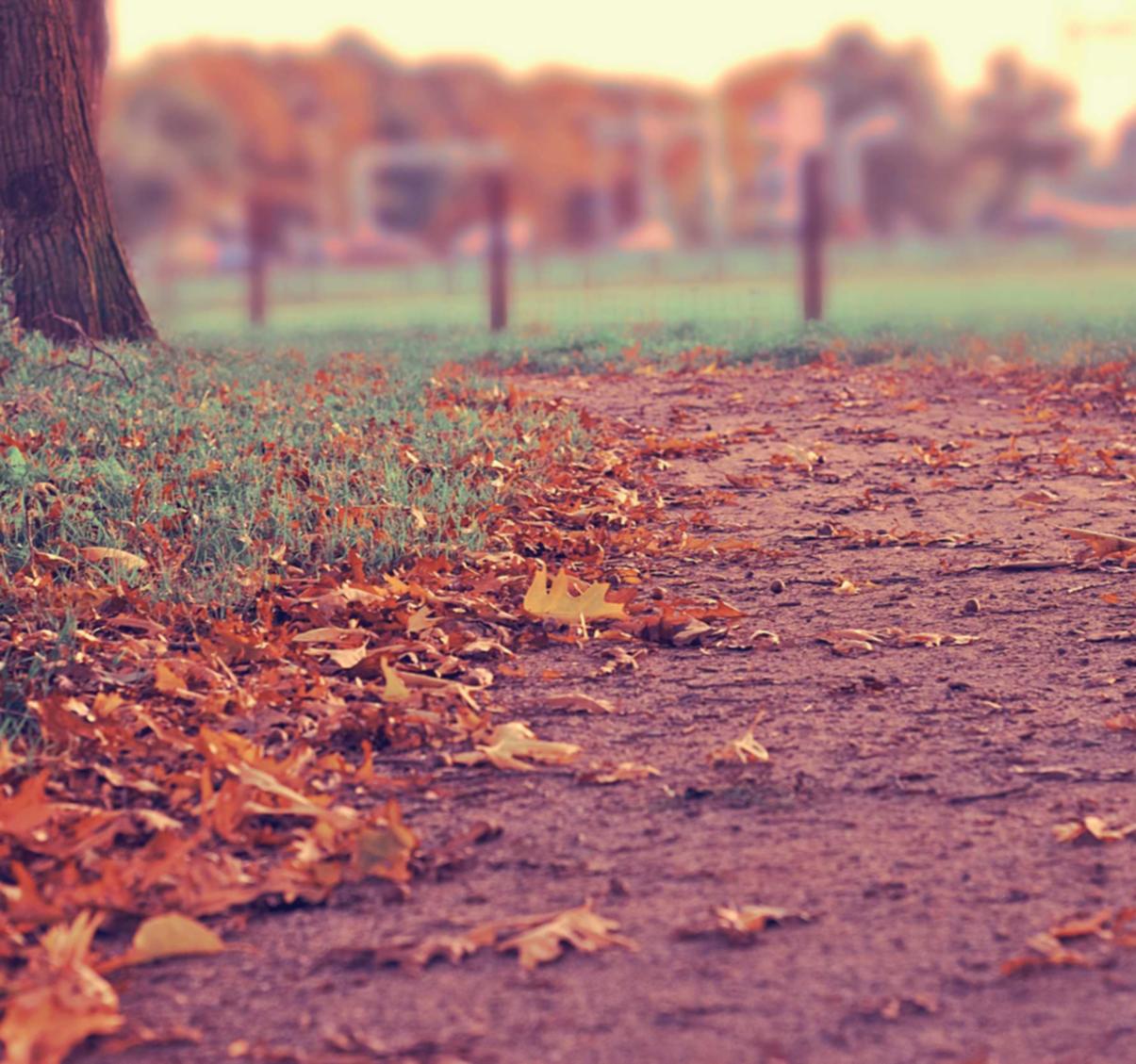 微信旧版注册不了新账号