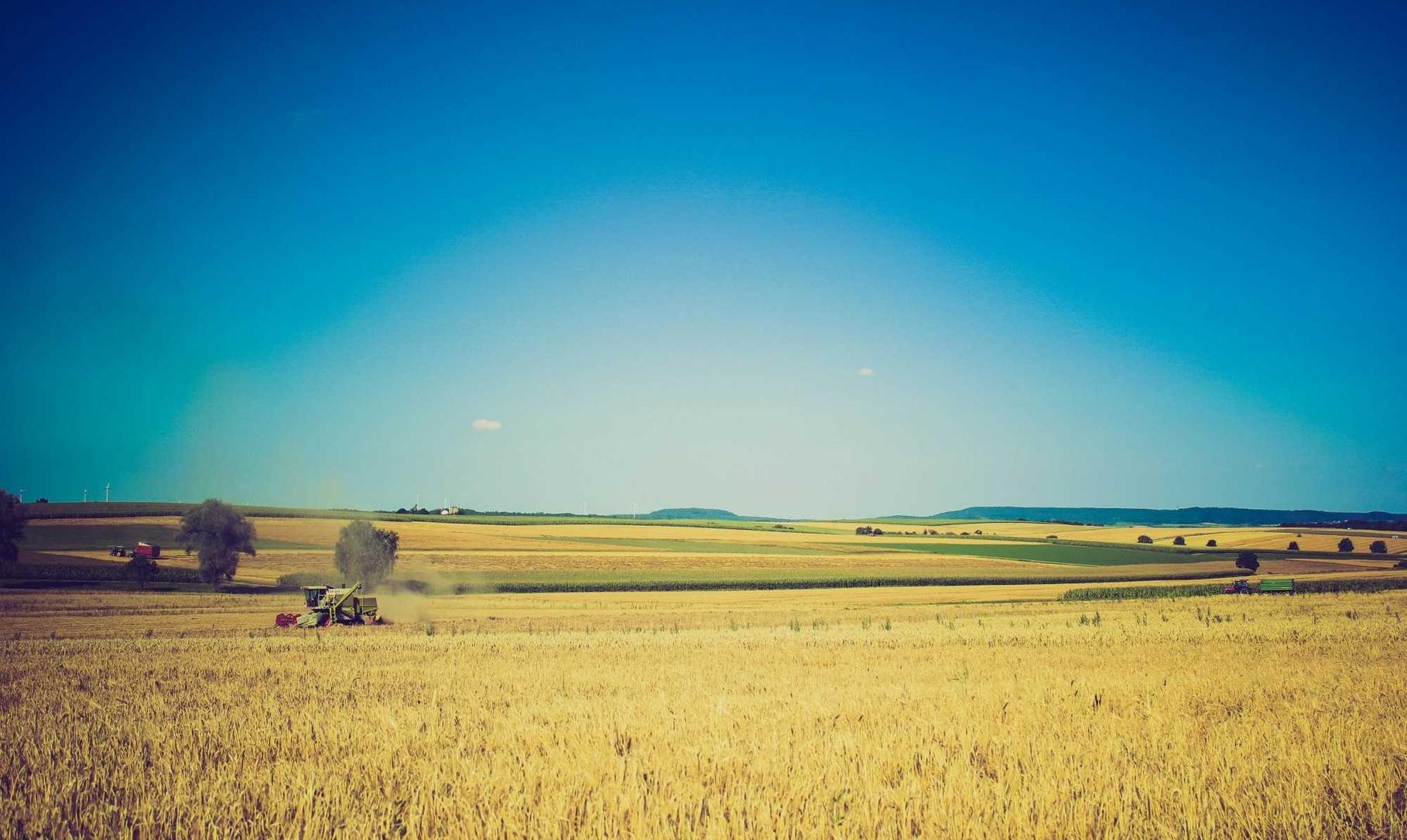 微信新老号买卖:海淘购买平台