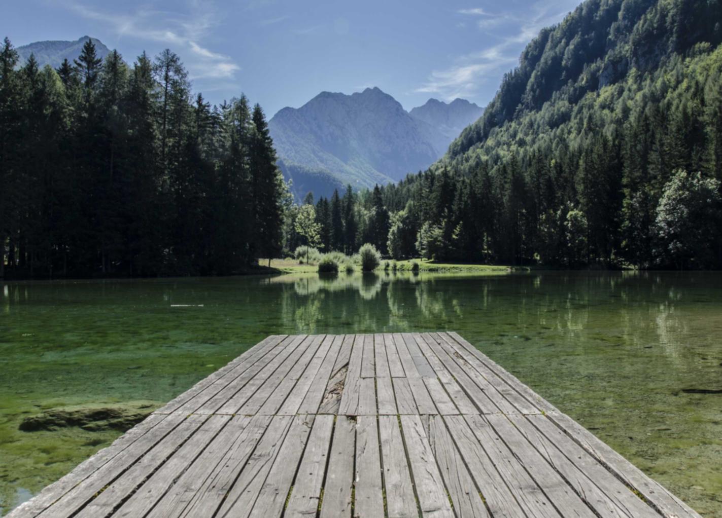 DDOS网页端|窝友app详情下载教程