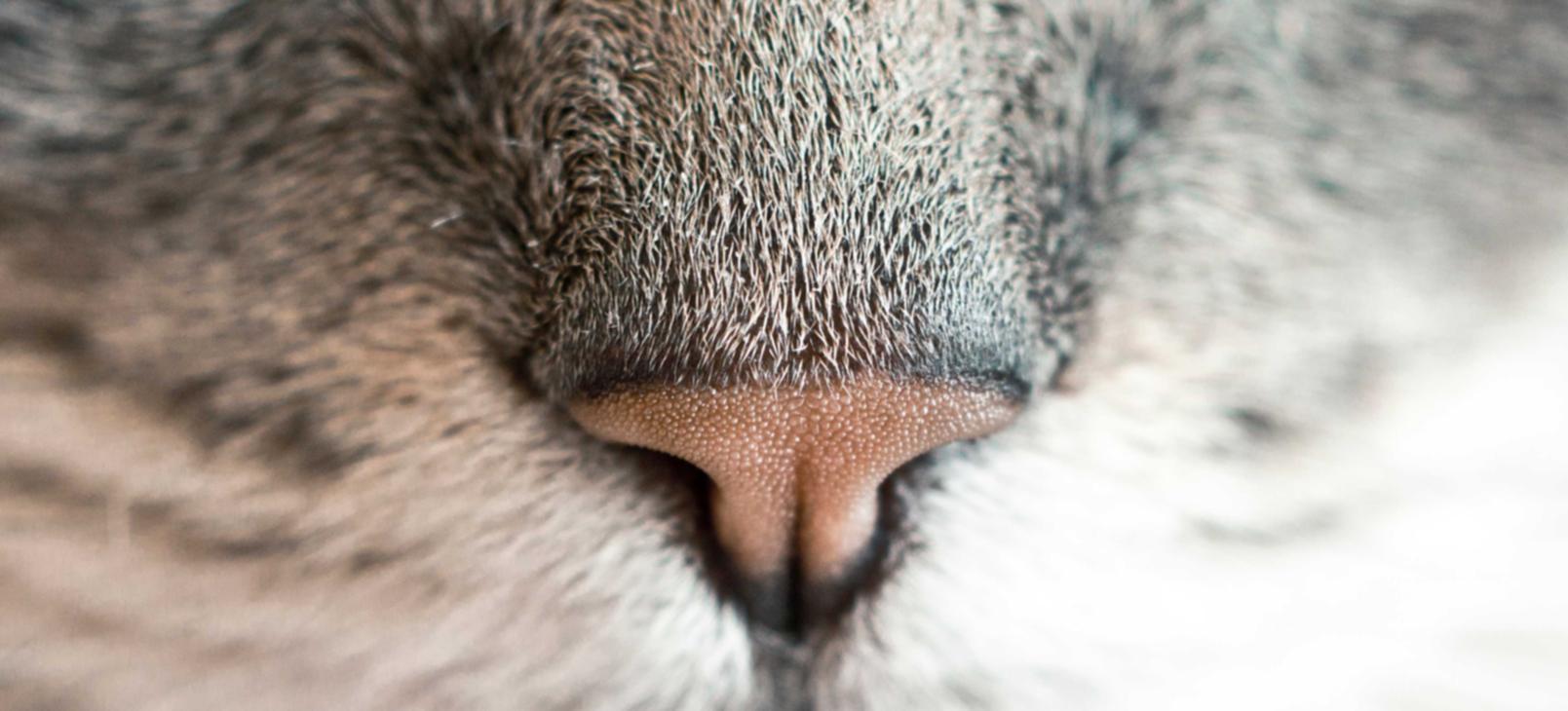 解读DDOS攻击怎么玩- 音乐之家app详情下载教程