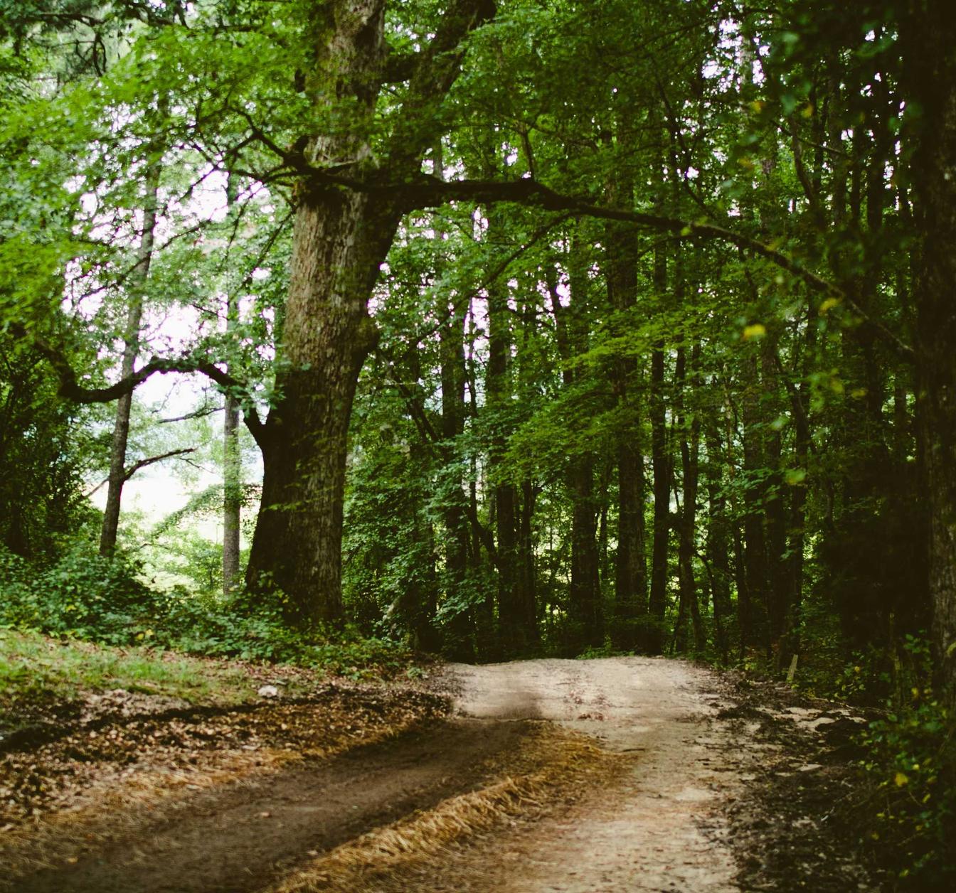 Peel百乐蔓越莓双爆珠：扫描宝app详情下载教程