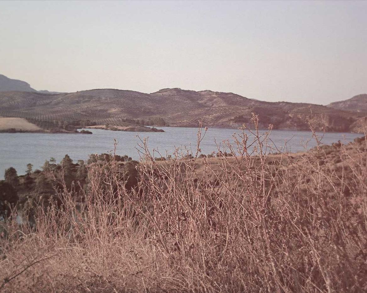 有嘴蓝骆驼：河南板式办公家具购买平台