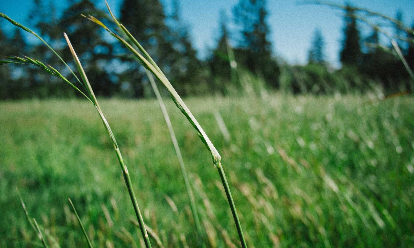 绝世仙王：洛龙区工商注册代理公司