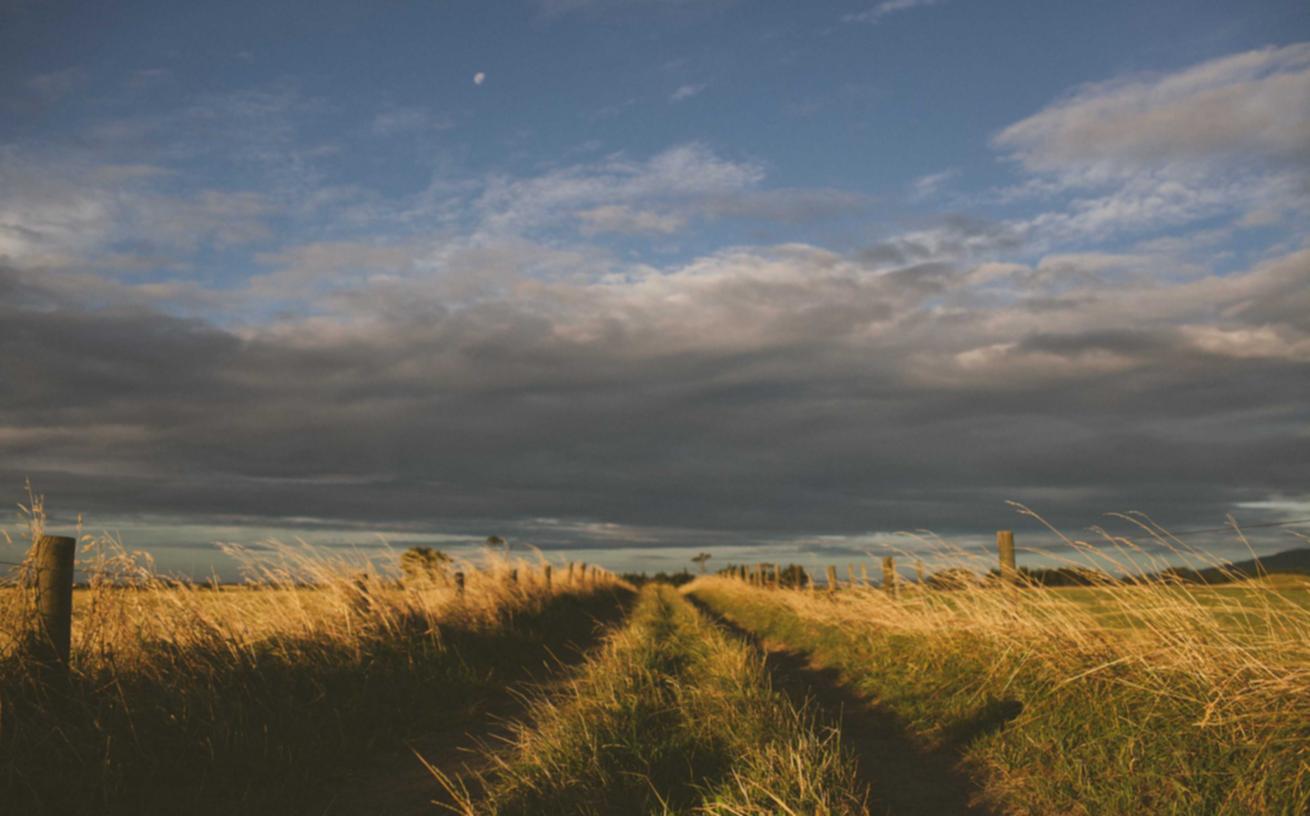 如何使用内部分类链接以提高SEO排名