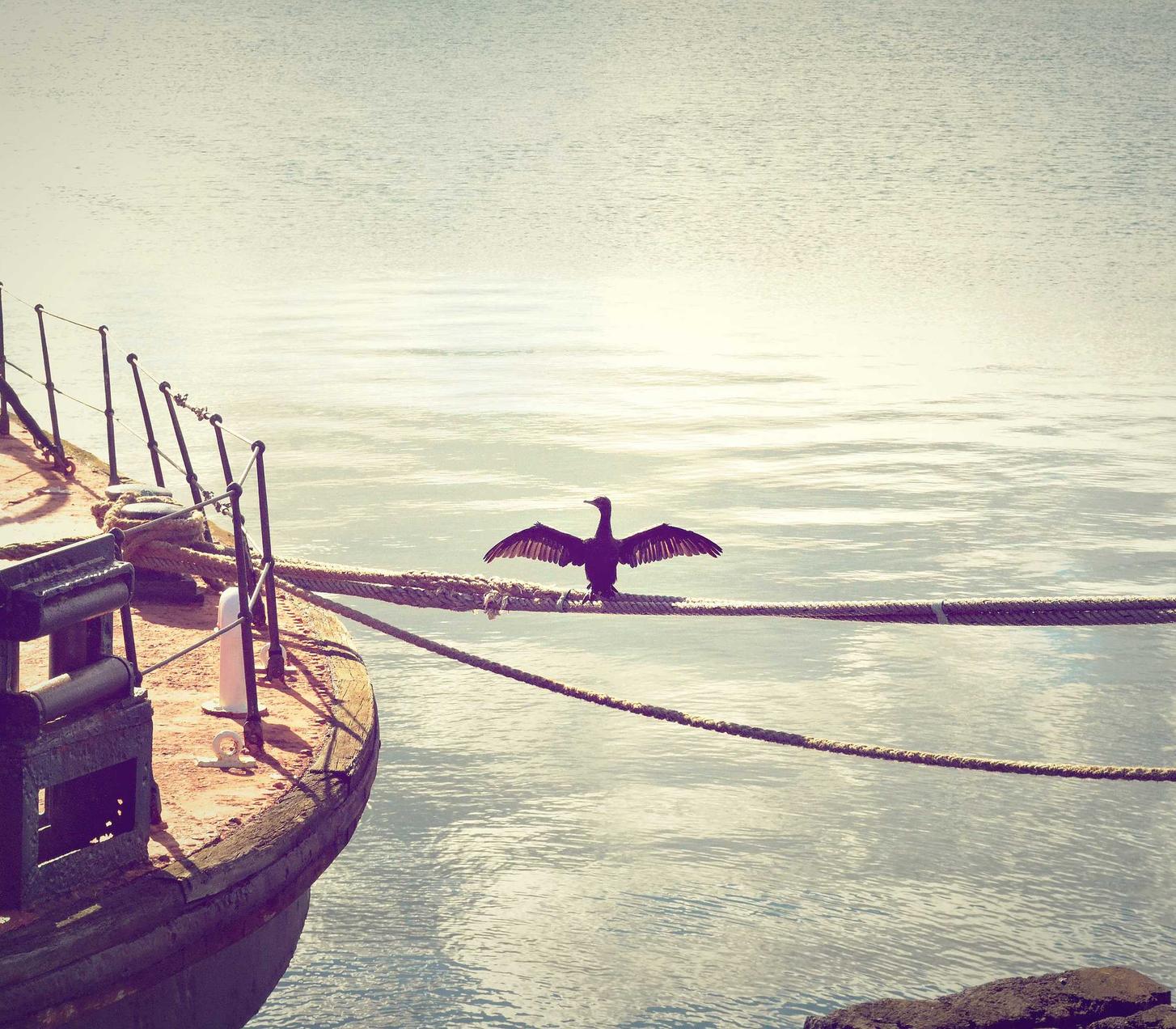 虚拟机手机卡实名实名账号:鹿城注册代理记账费