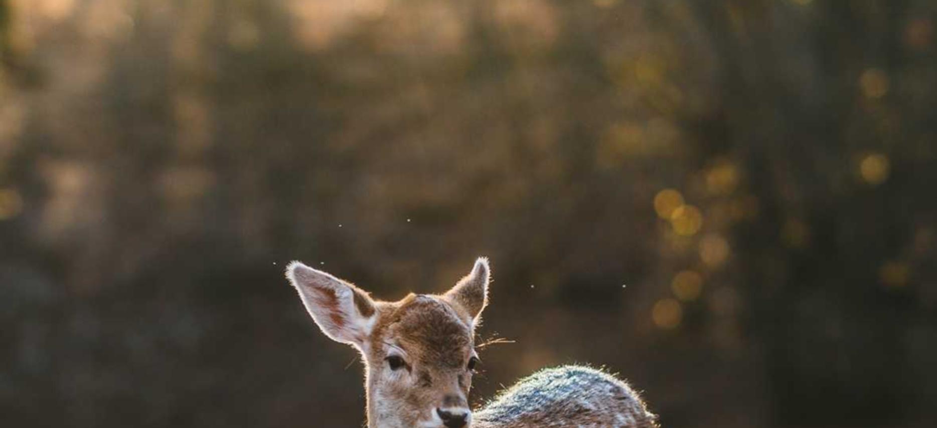 网信移动实名账号：代理武汉企业注册