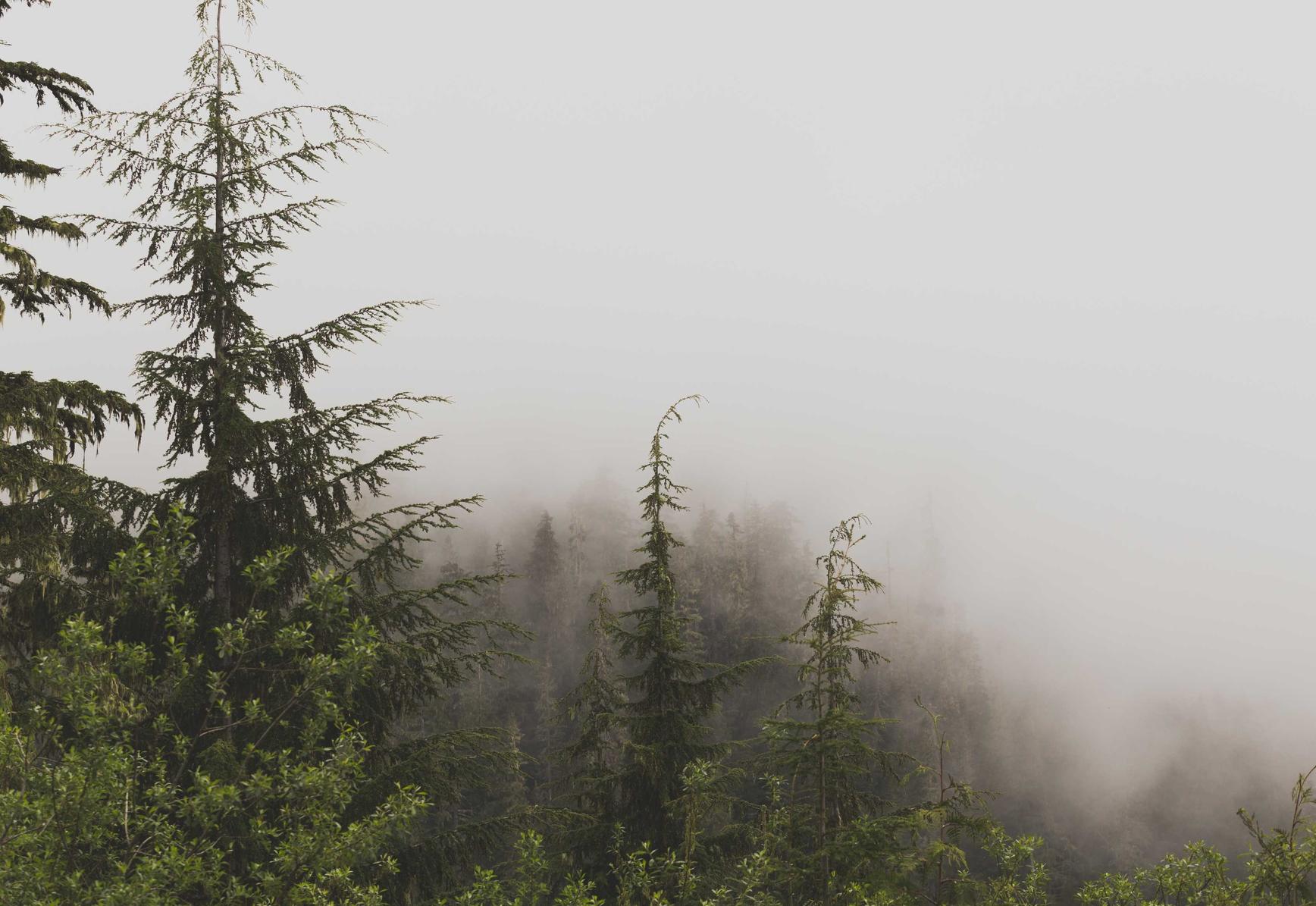 DDOS攻击|如何发现企业网络安全漏洞和弱点