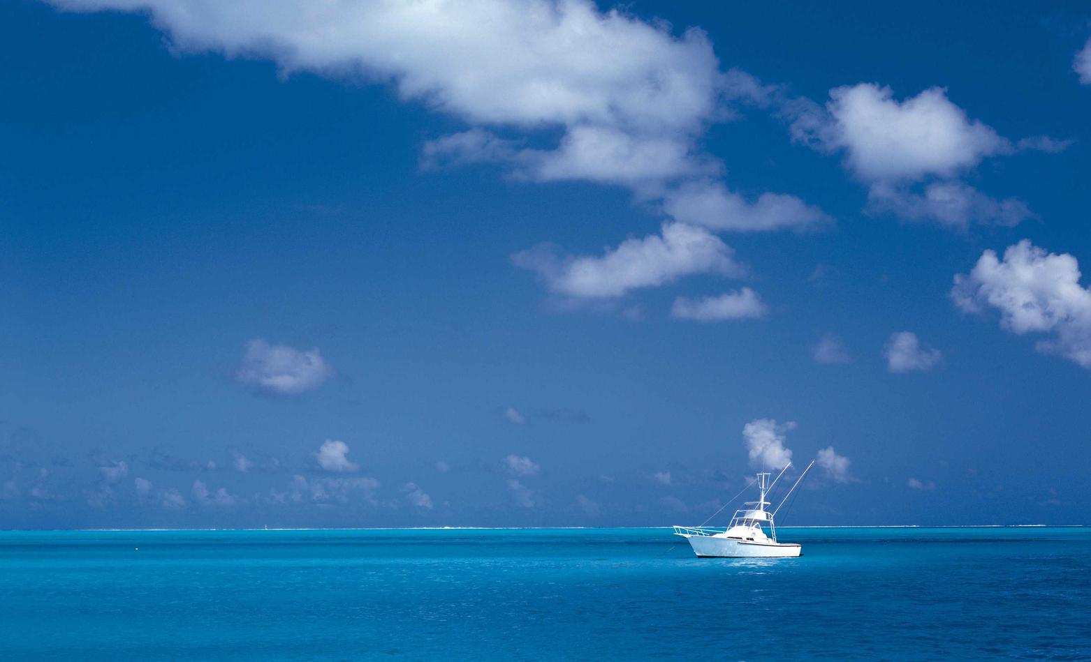 东莞道具购买平台