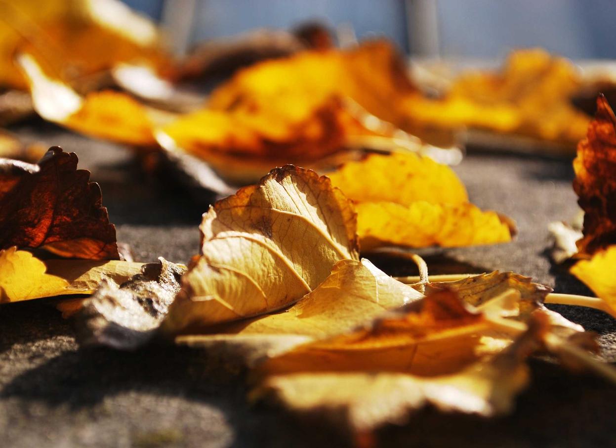 网信移动实名账号：开户平台流程时间多久完成