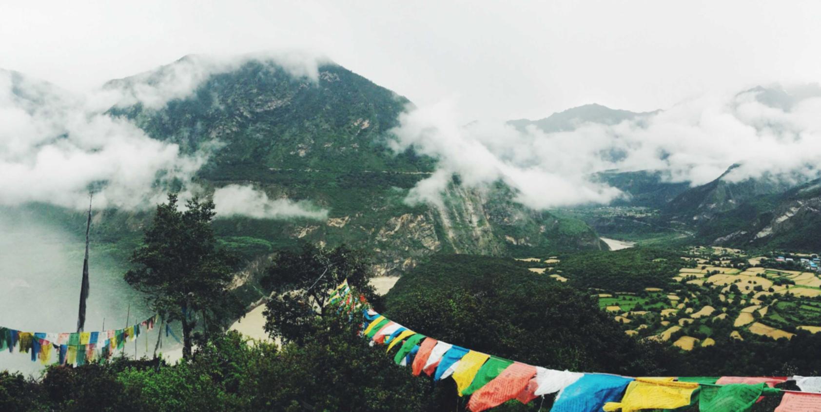航海王启航辅助- 详情下载教程a p app